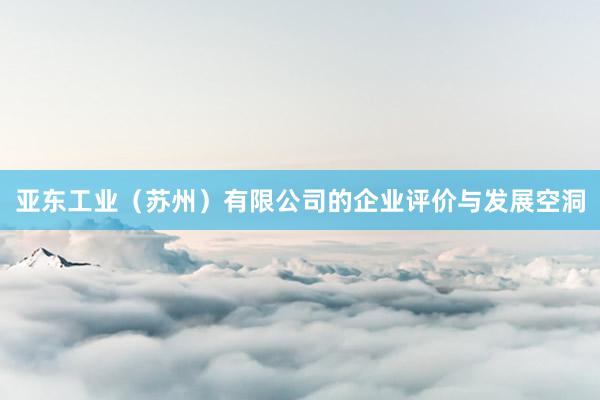 亚东工业（苏州）有限公司的企业评价与发展空洞